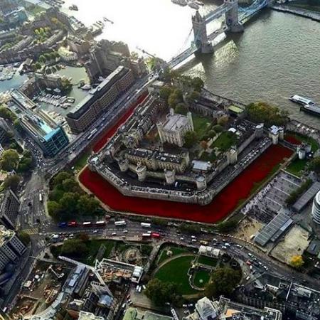 Tower of London poppies.jpg