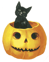 catpunkin.gif