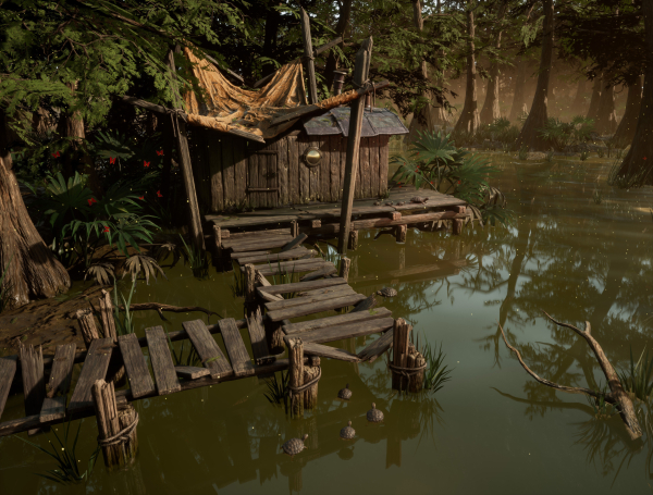 1 swamp.jpg