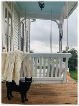 Front porch swing with cat.jpg
