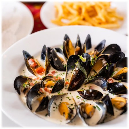 mussels in white sauce.jpg
