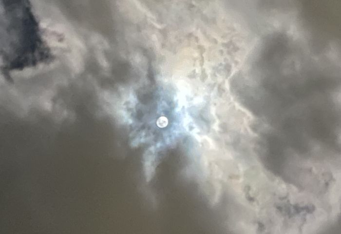 IMG_0040.jpeg