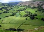 Wales-farms.jpg