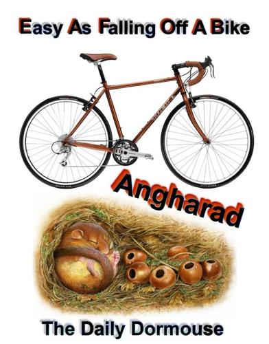 Bike cover.jpg