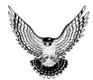 falcon2.jpg