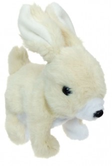 Hoppy-Bunny-Rabbit