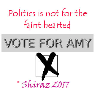 Vote_For_Amy.png