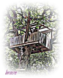 081408treehouse-02_0.jpg