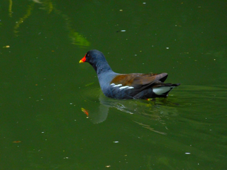 DSCN6495.jpg