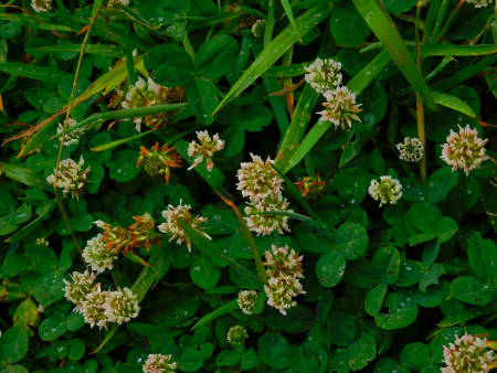 DSCN6506.jpg
