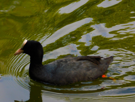 DSCN6514.jpg