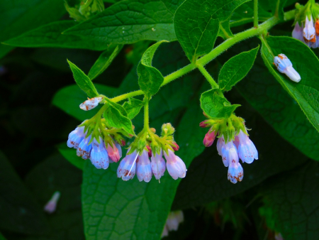 DSCN6523.jpg