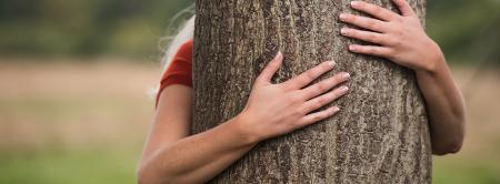 Tree_Hugger_Hands_1.jpg